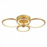 Потолочный светодиодный светильник Evoluce Intensity SLE900022-04