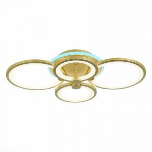 Потолочный светодиодный светильник Evoluce Intensity SLE900022-04RGB