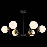 Потолочная люстра Evoluce Ciane SLE1098-402-06 Потолочная люстра Evoluce Ciane SLE1098-402-06