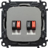 Розетка для колонок Legrand Valena Allure двойная, алюминий 753078+755377