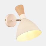 Настенный светильник EVOLUCE SLE1256-501-01