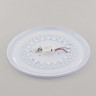 Потолочный светодиодный светильник Citilux Астрон CL733480G