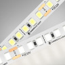 Светодиодная лента Ambrella Light 14,4W/m 180LED/m 2835SMD дневной белый 5M GS1302