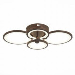 Потолочный светодиодный светильник Evoluce Intensity SLE900072-04