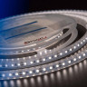 Светодиодная влагозащищенная лента DesignLed 9,6W/m 120LED/m 3528SMD нейтральный белый 5M 002369