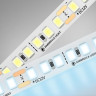 Светодиодная лента Ambrella Light 14,4W/m 180LED/m 2835SMD холодный белый 5M GS1303