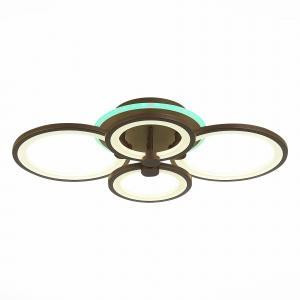 Потолочный светодиодный светильник Evoluce Intensity SLE900072-04RGB