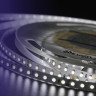 Светодиодная влагозащищенная лента DesignLed 9,6W/m 120LED/m 3528SMD нейтральный белый 5M 002764