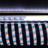 Лента светодиодная Deko-Light 3528-2x72-12V-RGB+3000K-3m 840211 Лента светодиодная Deko-Light 3528-2x72-12V-RGB+3000K-3m 840211