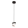 Подвесной светодиодный светильник Lussole Loft Littlerock LSP-7095