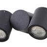 Настенный светильник (бра) Outdoor O010WL-02B