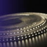 Светодиодная влагозащищенная лента DesignLed 9,6W/m 120LED/m 3528SMD теплый белый 5M 000153