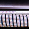 Лента светодиодная Deko-Light 5050-2x30-12V-3000K-7000K-3m 621362