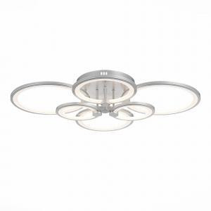 Потолочный светодиодный светильник Evoluce Intensity SLE900092-06