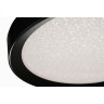 Потолочный светодиодный светильник iLedex Stardust WL X8839-650R BK Потолочный светодиодный светильник iLedex Stardust WL X8839-650R BK
