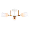 Потолочная люстра Ambrella light Traditional Modern TR303321