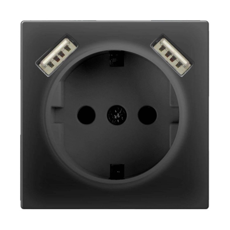 Розетка Werkel с заземлением, шторками и USBx2 черный матовый WL08-SKGS-USBx2-IP20 4690389073236