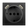 Розетка Werkel с заземлением, шторками и USBx2 черный матовый WL08-SKGS-USBx2-IP20 4690389073236