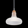 Подвесной светильник Maytoni P016PL-01W