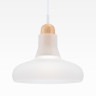 Подвесной светильник Maytoni P016PL-01W