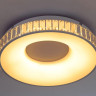 Потолочный светодиодный светильник Escada 10214/1LED