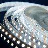 Светодиодная влагозащищенная лента DesignLed 9,6W/m 120LED/m 3528SMD холодный белый 5M 000525