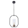 Подвесной светильник Arte Lamp Celaeno A7004SP-1BK