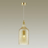 Подвесной светильник Odeon Light Pelo 4709/1
