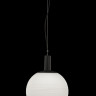 Подвесной светильник Maytoni P061PL-01W