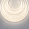Гибкий неон Led Strip 20047