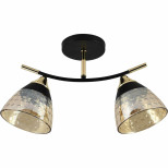 Потолочный светильник Reluce 01386-0.3-02 BK+FGD