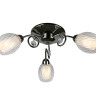 Потолочная люстра Omnilux OML-31607-03