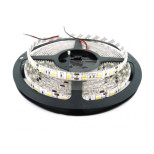 Светодиодная лента Eleganz 5050 60led 14,4Вт 12V - RGB + White 6000К