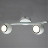 A6251PL-2WH СВЕТИЛЬНИК ПОТОЛОЧНЫЙ