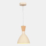 Подвесной светильник EVOLUCE SLE1256-503-01