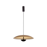 Подвесной светильник Lumien Hall Arta 8007/1PL-WD