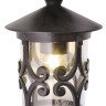 Уличный потолочный светильник Arte Lamp Persia A1453PF-1BK
