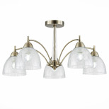 Потолочная люстра Evoluce Nuele SLE104402-05 Потолочная люстра Evoluce Nuele SLE104402-05