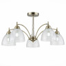 Потолочная люстра Evoluce Nuele SLE104402-05 Потолочная люстра Evoluce Nuele SLE104402-05
