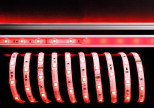Лента светодиодная Deko-Light 5050-30-12V-RGB-5m 840101 Лента светодиодная Deko-Light 5050-30-12V-RGB-5m 840101