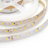 Светодиодная лента Apeyron 12W/m 60LED/m 2835SMD холодный белый 5M 00-335