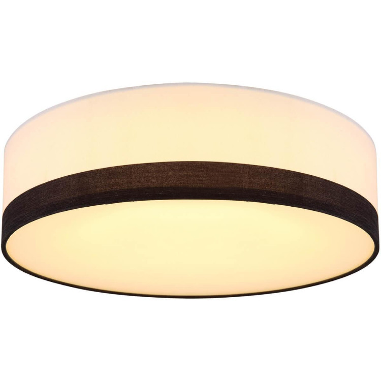 Потолочный светодиодный светильник Globo Maggy 15385D1