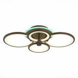 Потолочная светодиодная люстра Evoled Leto SLE200372-04RGB