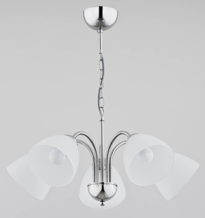 Подвесная люстра Alfa Tora 21255