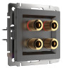Акустическая розетка Werkel х4 графит рифленый WL04-AUDIOx4 4690389145896