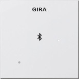 Лицевая панель Gira System 55 для вставки док-станции чисто-белый глянцевый 228803