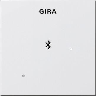 Лицевая панель Gira System 55 для вставки док-станции чисто-белый глянцевый 228803