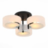 Потолочная люстра Evoluce Foresta SL483.402.03 Потолочная люстра Evoluce Foresta SL483.402.03