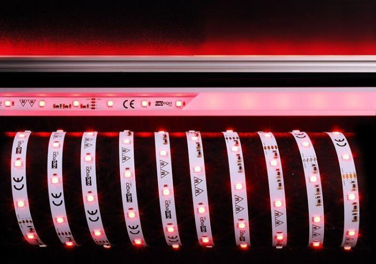 Лента светодиодная Deko-Light 5050-30-24V-RGB-10m 840247 Лента светодиодная Deko-Light 5050-30-24V-RGB-10m 840247