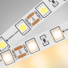 Светодиодная лента Ambrella Light 14,4W/m 60LED/m 5050SMD теплый белый 5M GS2001